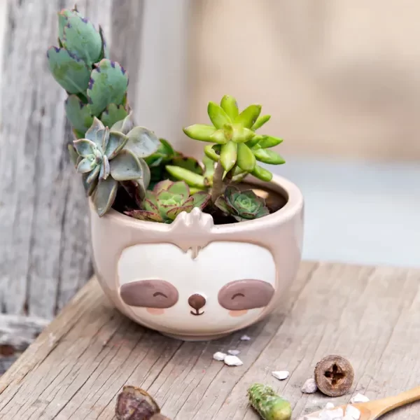 Miniatura de producto - 5