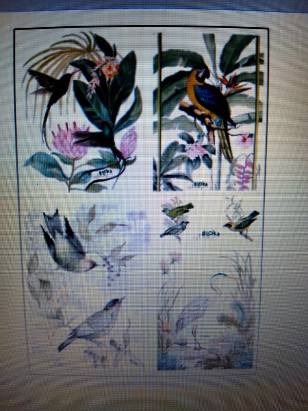 Producto - Termotransferibles 20x29cm Botánico #2