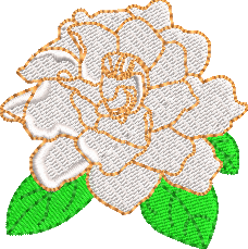 Producto - Matriz Jazmin