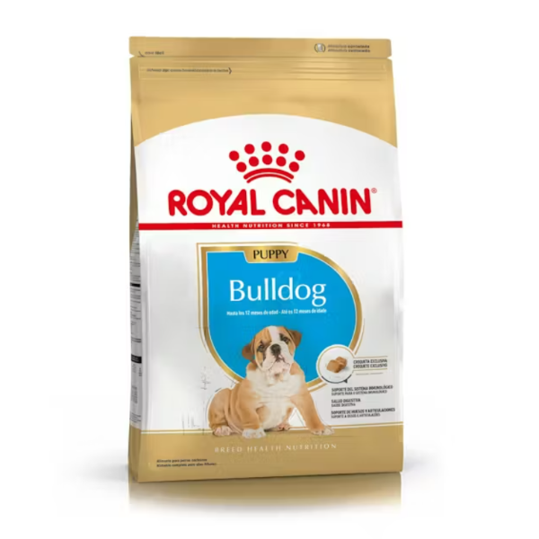 Producto - Bulldog cachorro