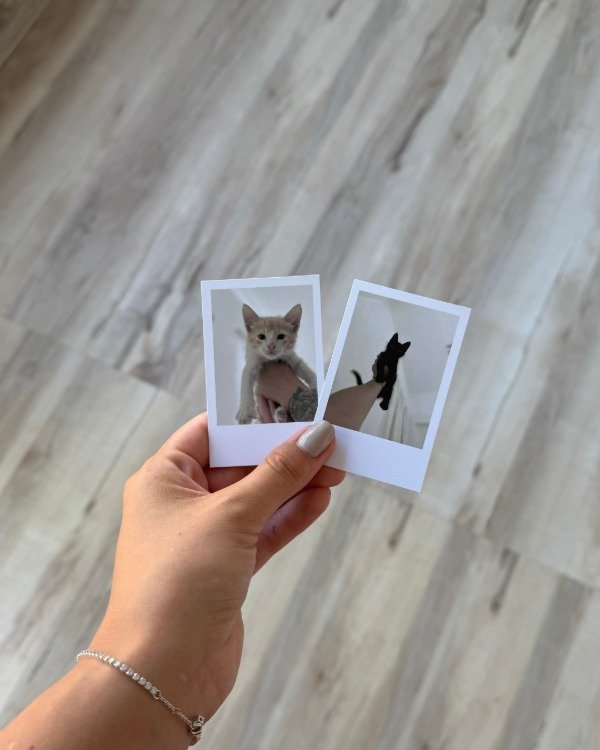 Producto - Fotos instax