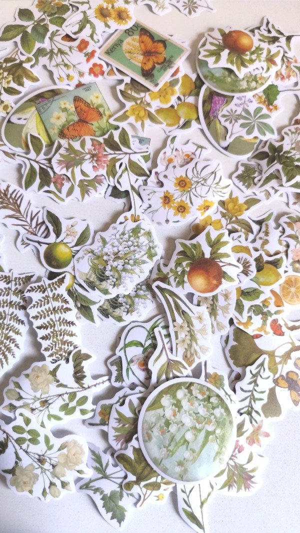 Miniatura de producto - 5