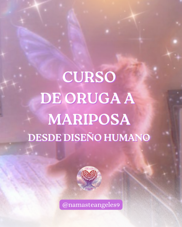 Producto - De Oruga a Mariposa