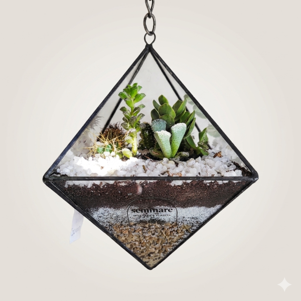 Producto - Terrario LAURA