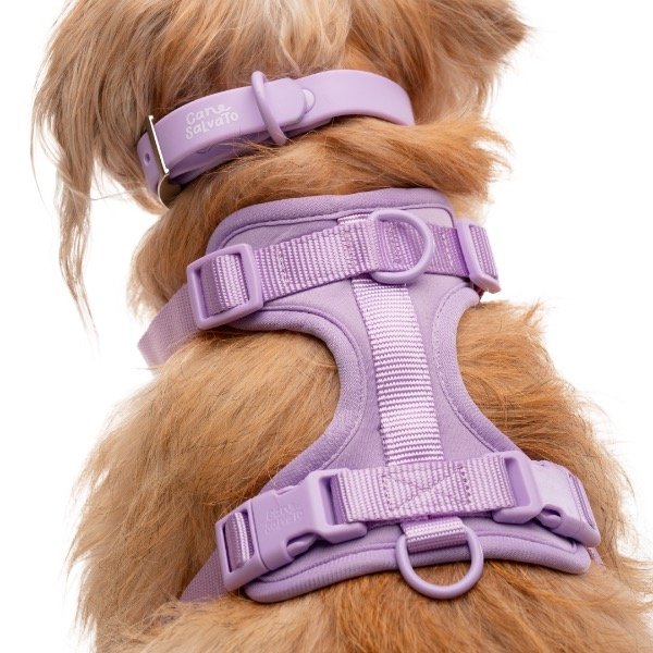 Producto - Set Laika LILA