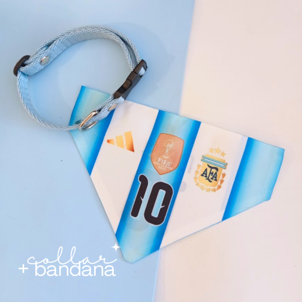 Producto - Collar + bandana