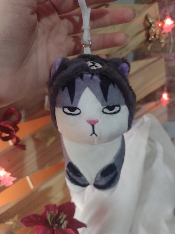 Producto - Gatito enojado gorrito Lucifer