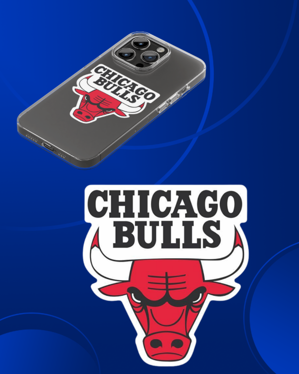 Producto - Chicago bulls común