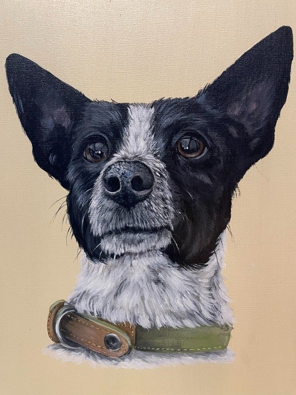 Producto - Retrato 1 mascota