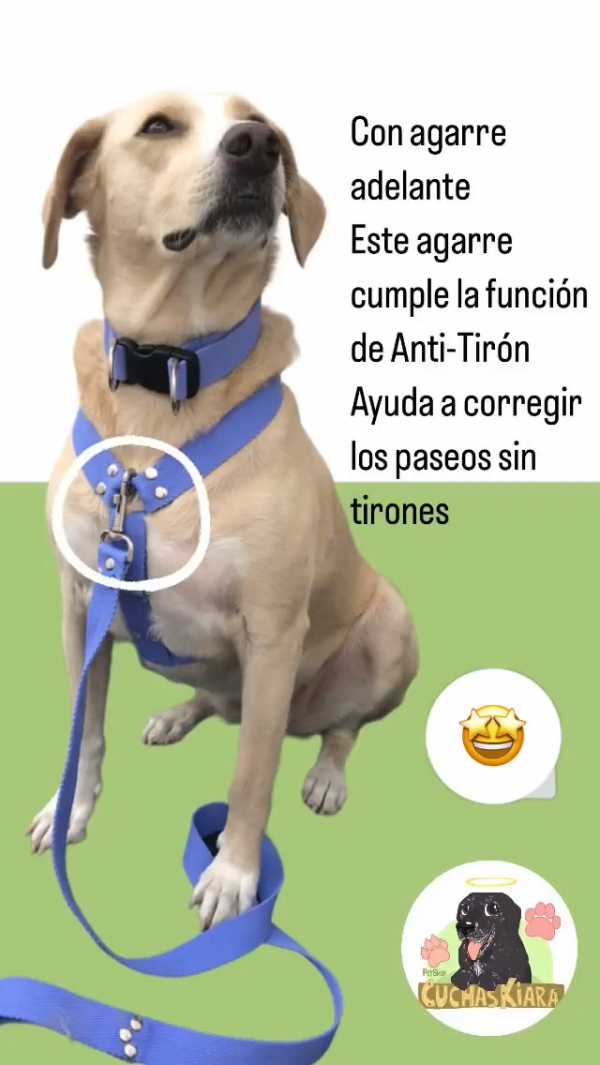 Producto - Pretal Anti-Tiron