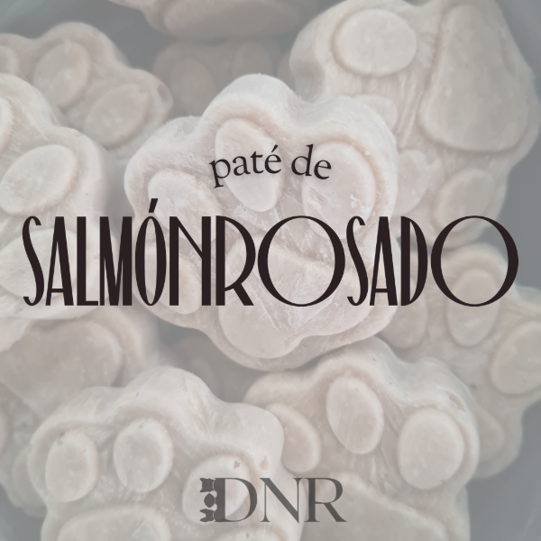 Producto - PATÉ DE SALMÓN