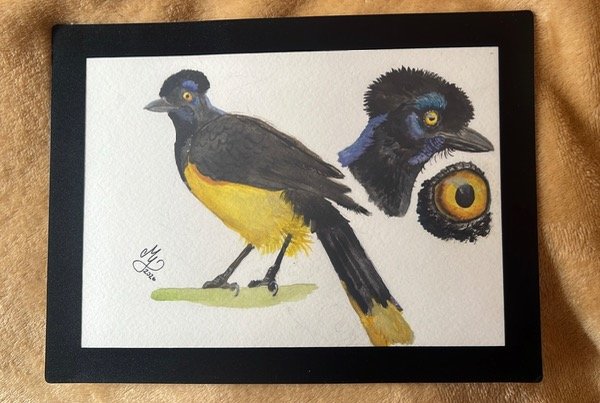Producto - Pintura en acuarela sobre papel de un ave - 1