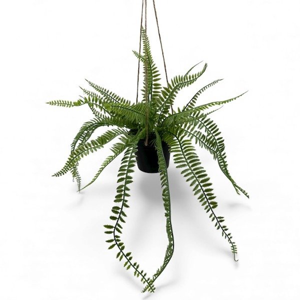 Producto - HELECHO COLGANTE MACETA EA410101