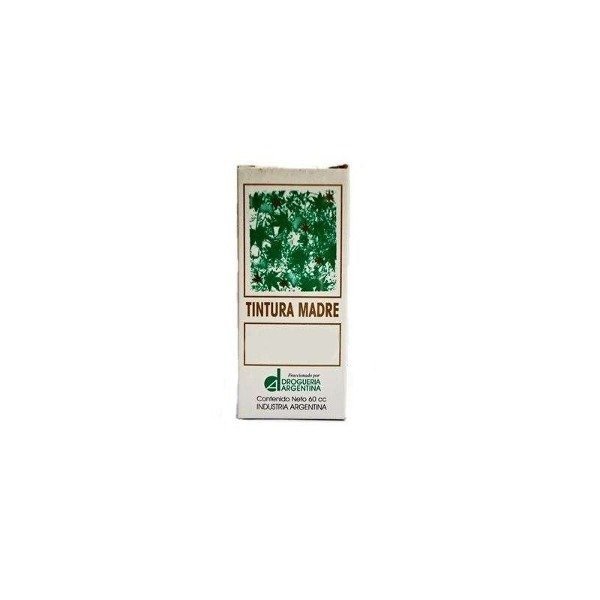 Producto - Tintura Madre Angelica 60 cc - Droguerias Argentinas