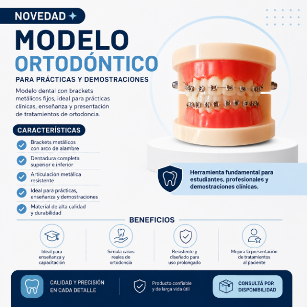 Producto - MODELO ORTODONTICO