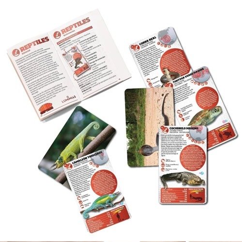 Miniatura de producto - 5