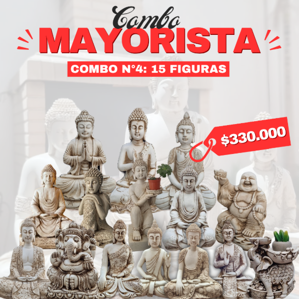 Producto - Combo mayorista 4
