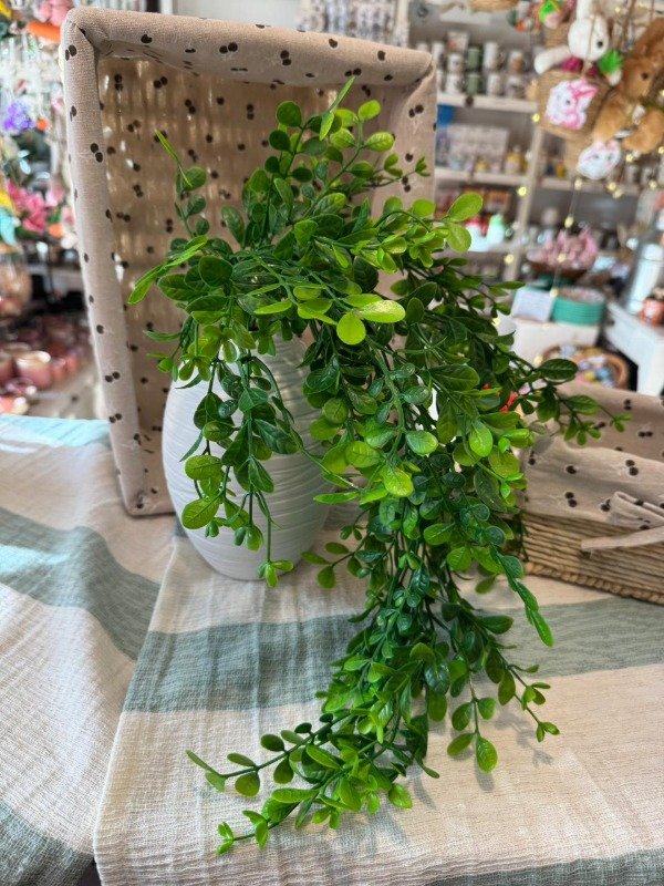 Producto - Caida Buxus 70 cm - ( Efectivo: 10.000)