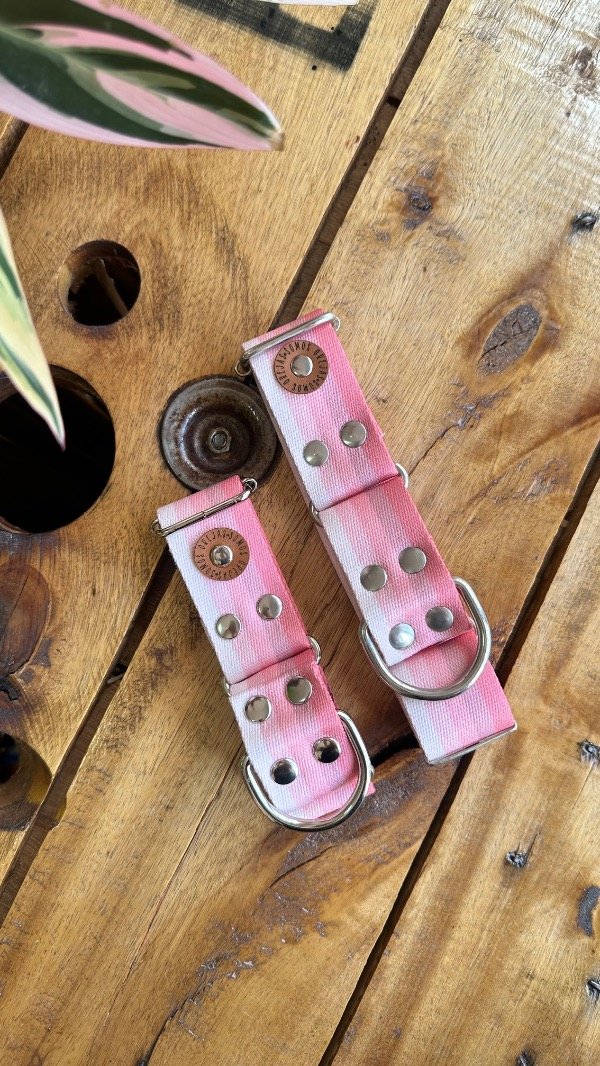 Producto - Collar Martingale Aurora Reforzado