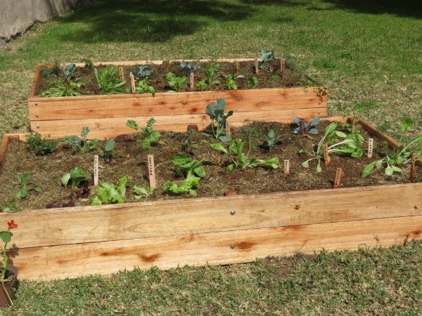 Producto - Huertera de 2mx 1mx 0,30m