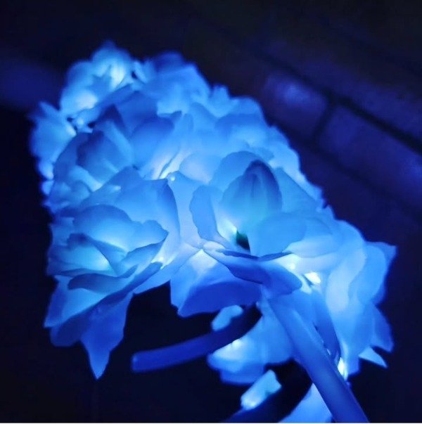 Producto - Vinchas ROSETONES BLANCOS Led x 10