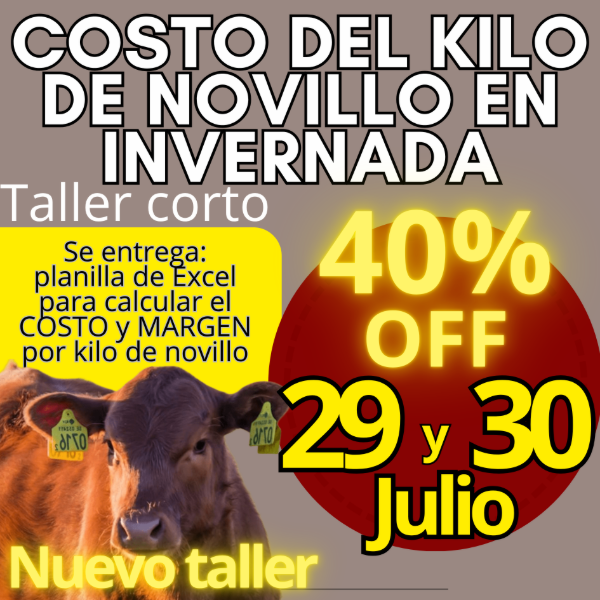 Producto - Taller corto: cálculo del costo del kilo de novillo