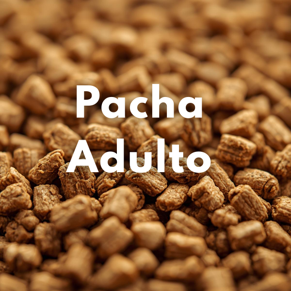 Producto - Pacha Adulto (Granel)
