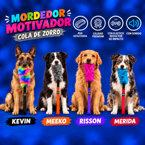 Producto - MORDEDOR MOTIVADOR / KEVIN - 1