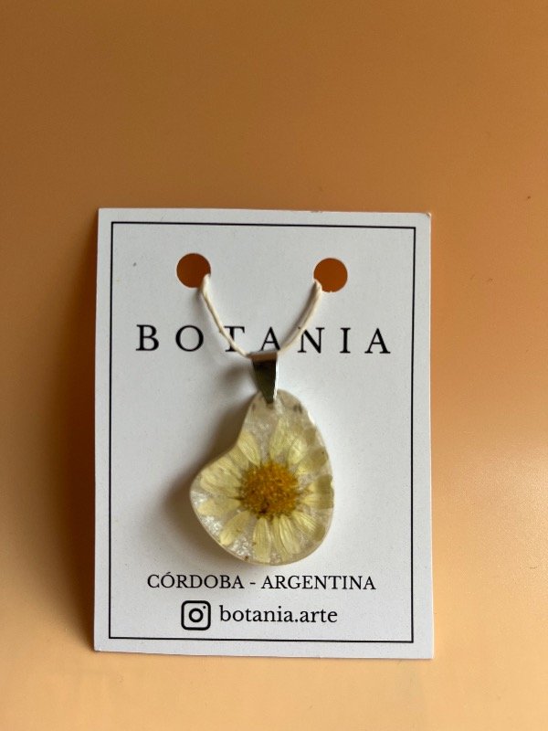 Producto - Margarita 1