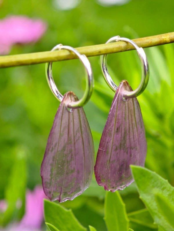 Producto - Aros Cosmo plateados