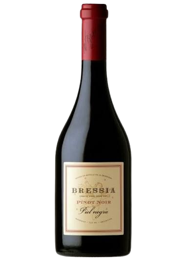 Producto - Bressia Piel Negra