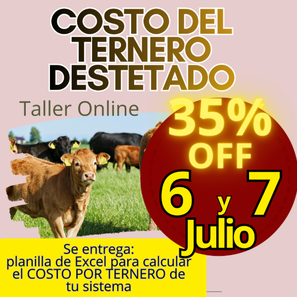 Producto - Taller Online: Costo del Ternero