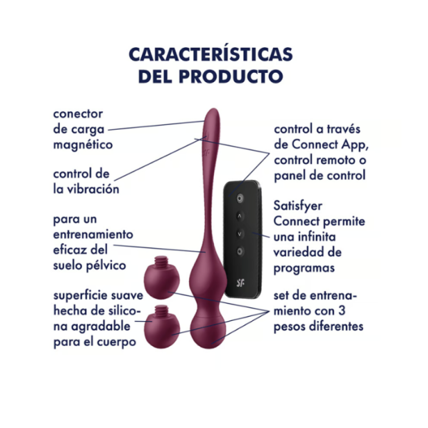 Producto - Satisfyer Love Birds Vary Connect App - 1
