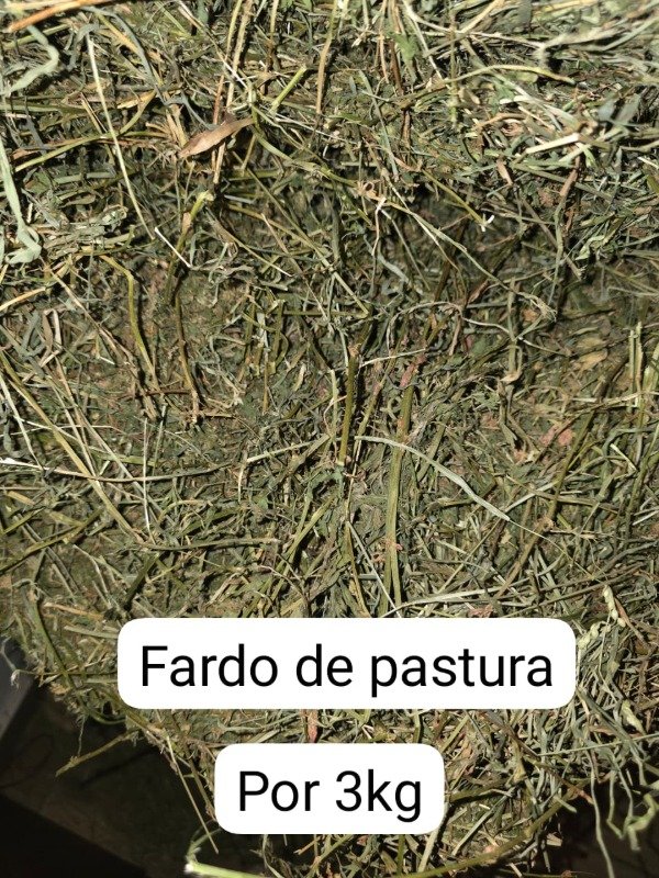 Producto - Pastura en fardo