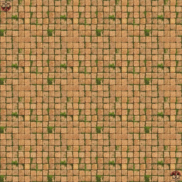 Producto - Dungeon 11 XL