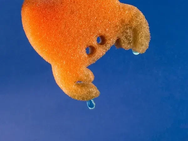 Producto - Mar de Esponjas - 1