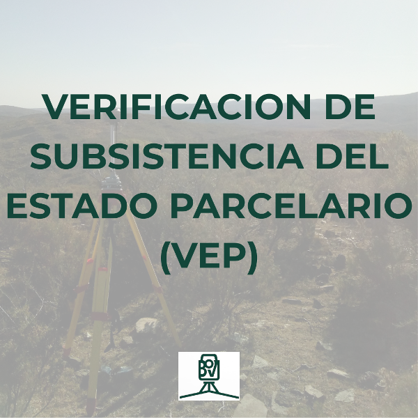 Producto - VERIFICACION DE SUBSISTENCIA DEL ESTADO PARCELARIO (VEP)