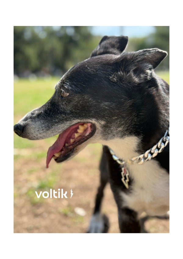 Producto - Voltik