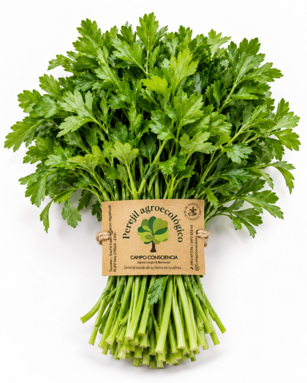Producto - Perejil Agroecológico - Presentación Atado - 0
