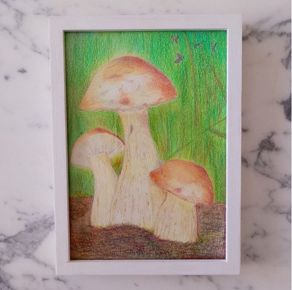 Producto - Familia de Hongos Original