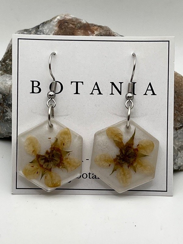 Producto - Aros 29 Duraznillo