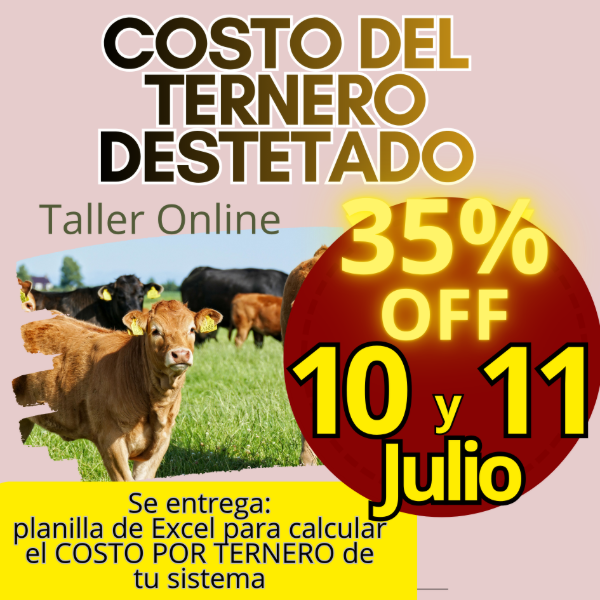 Producto - Taller Online: Costo del Ternero
