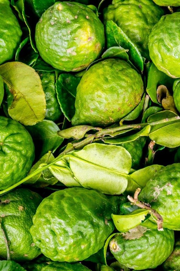 Producto - Esencia aromática - Bergamota
