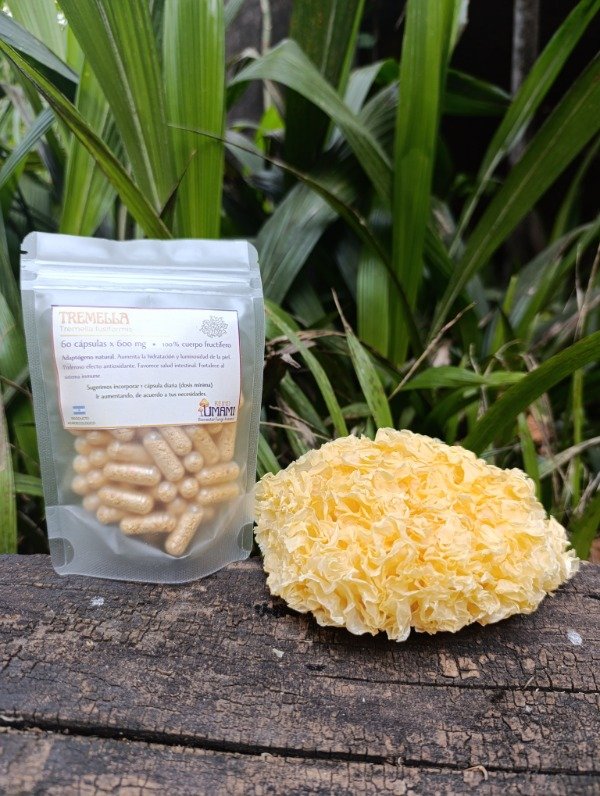 Producto - TREMELLA - 60 cápsulas