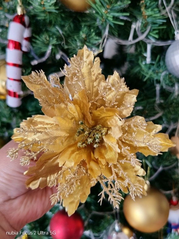 Producto - Flor de Navidad / Flor Federal