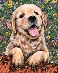 Producto - DIAMOND PAINTING 30X40 CACHORRITO DE GOLDEN