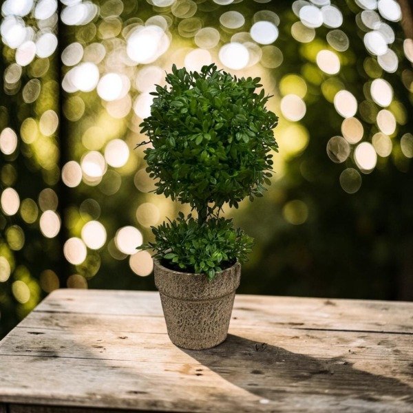 Producto - Maceta arbol pompon 259