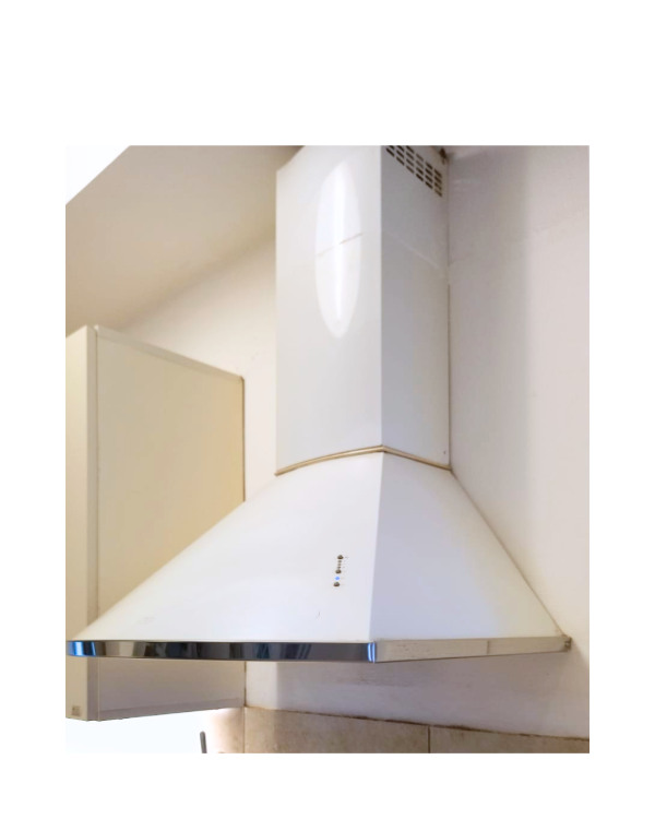 Producto - Camapana TST Lanin 60cm con motor