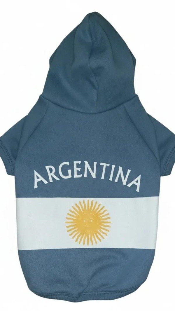 Producto - Buzos con capucha de Arg. x 12 (DEBIDO A DEMANDA CONSULTAR POR WSP)