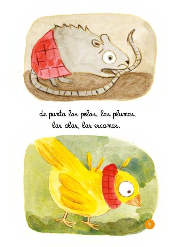 Miniatura de producto - 7